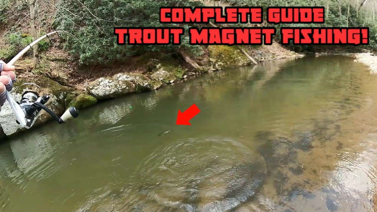 How to use a Trout Magnet?