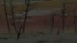 Welcome to the Jungle Naruto