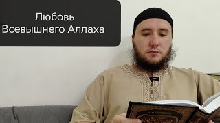 Любовь Всевышнего Аллаха