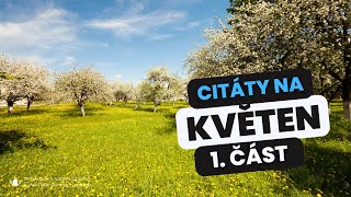 Citáty na květen 1. část #citát #motivace #povzbuzení