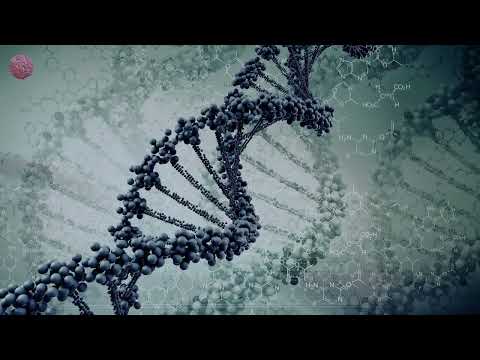 Popof - Serenity (Booka Shade Remix)