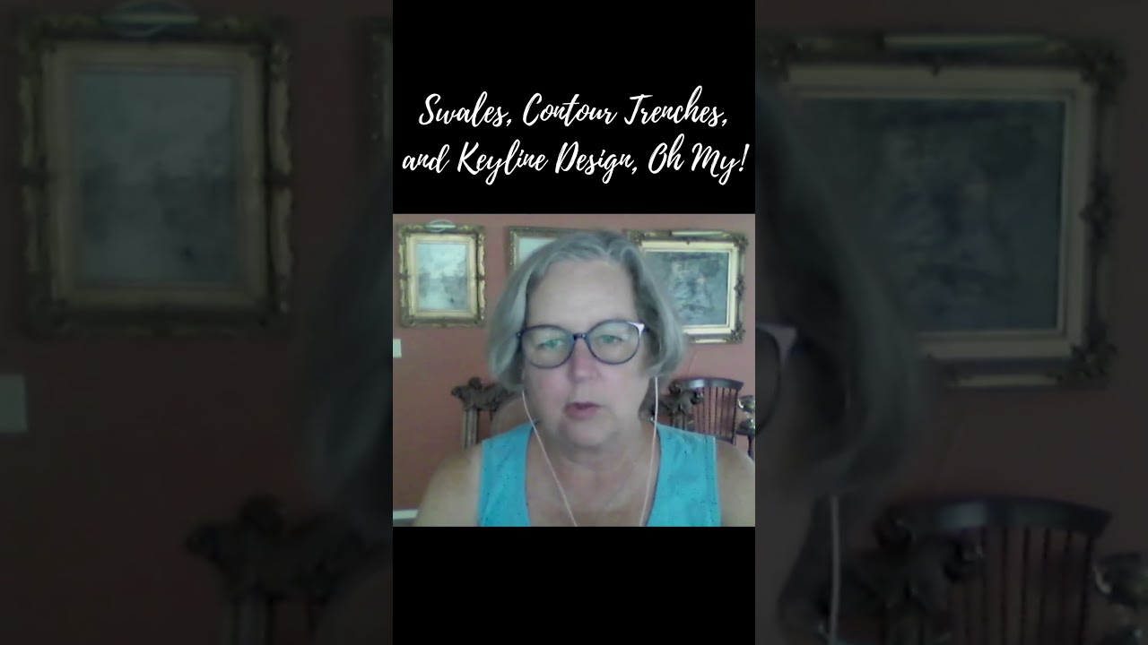 Swales, Contour Trenches, and Keyline Design, Oh My! 