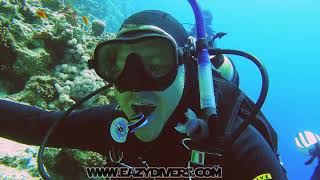 Dahab. Blue Hole. Canyon. Дайвинг в Дахабе. Голубая Дыра и Каньон