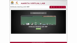 Antibody Labeling with HRP