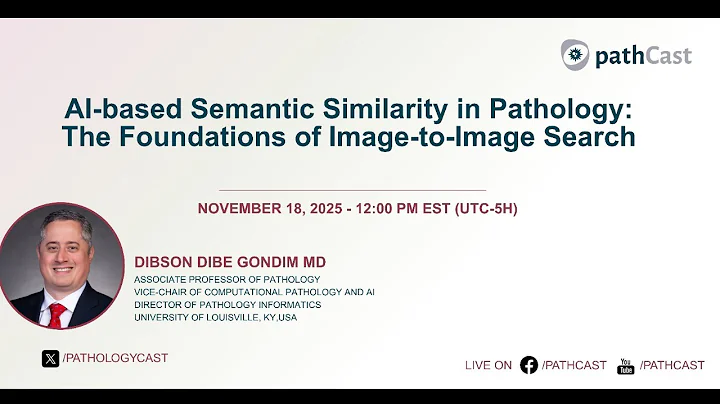 #DIGITALPATH AI-based Semantic Similarity in Pathology: The Foundations of Image-to-Image Search