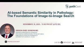 #DIGITALPATH AI-based Semantic Similarity in Pathology: The Foundations of Image-to-Image Search