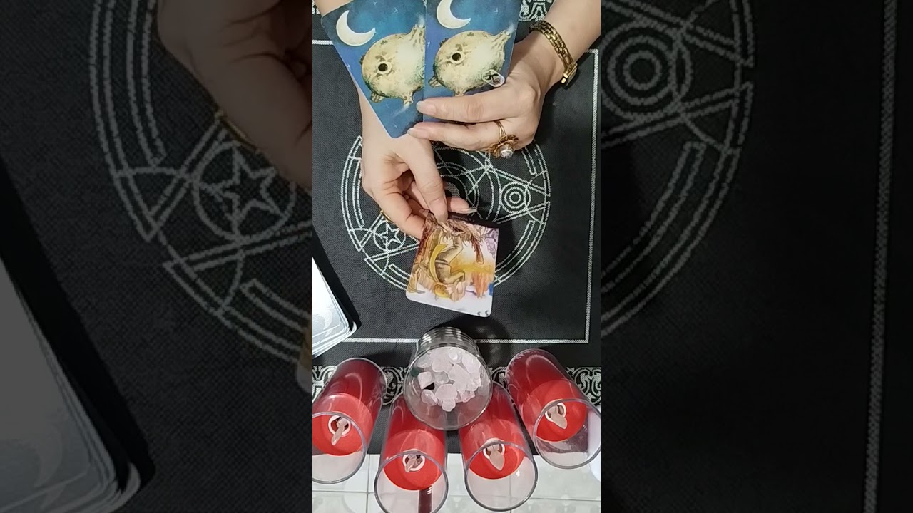 Họ có thật lòng dành tình cảm cho bạn không. Minh phương tarot. Zalo 097 659 8884.. Em gái miền Tây