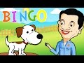 Bingo - Nursery Rhymes For Children | SRGMs