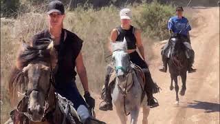 Advanced Horse Trekking in Essaouira