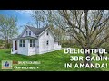 DELIGHTFUL 3BR CABIN IN AMANDA!