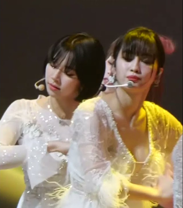 momo boobs