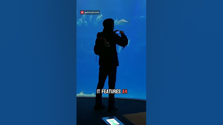 Dive into Beauty at Osaka Aquarium! 🐠💙 #Shorts