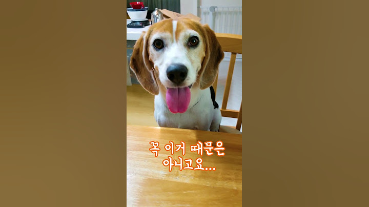 백만불짜리 미소의 비밀(The Secret of His Beautiful Smile)
