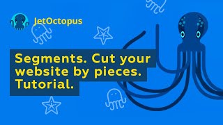 🗂️ Slice and Dice Your SEO Data with Segments: JetOctopus Tutorial