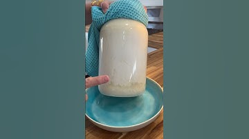 WHEN your milk KEFIR is READY!!!  //. BULLET-FROOF ur IMMUNE system #shorts #midwestmeanterings