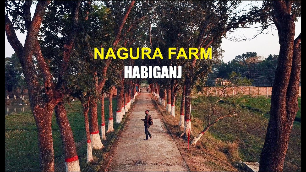 Nagura Farm Rickshaw Tour - HABIGANJ Drone | Bangladesh vlog - YouTube