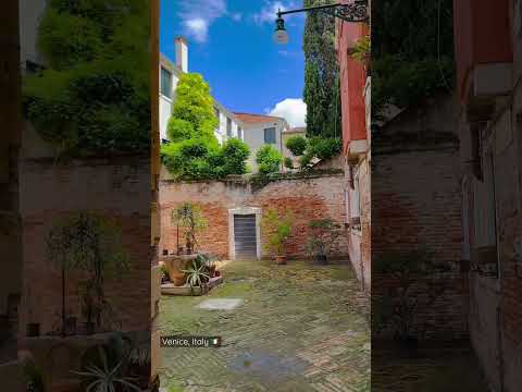 A beautiul alley