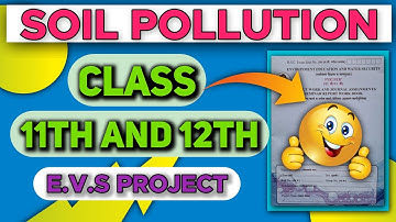 Soil Pollution|EVS Project|Class 11th|Full Description|