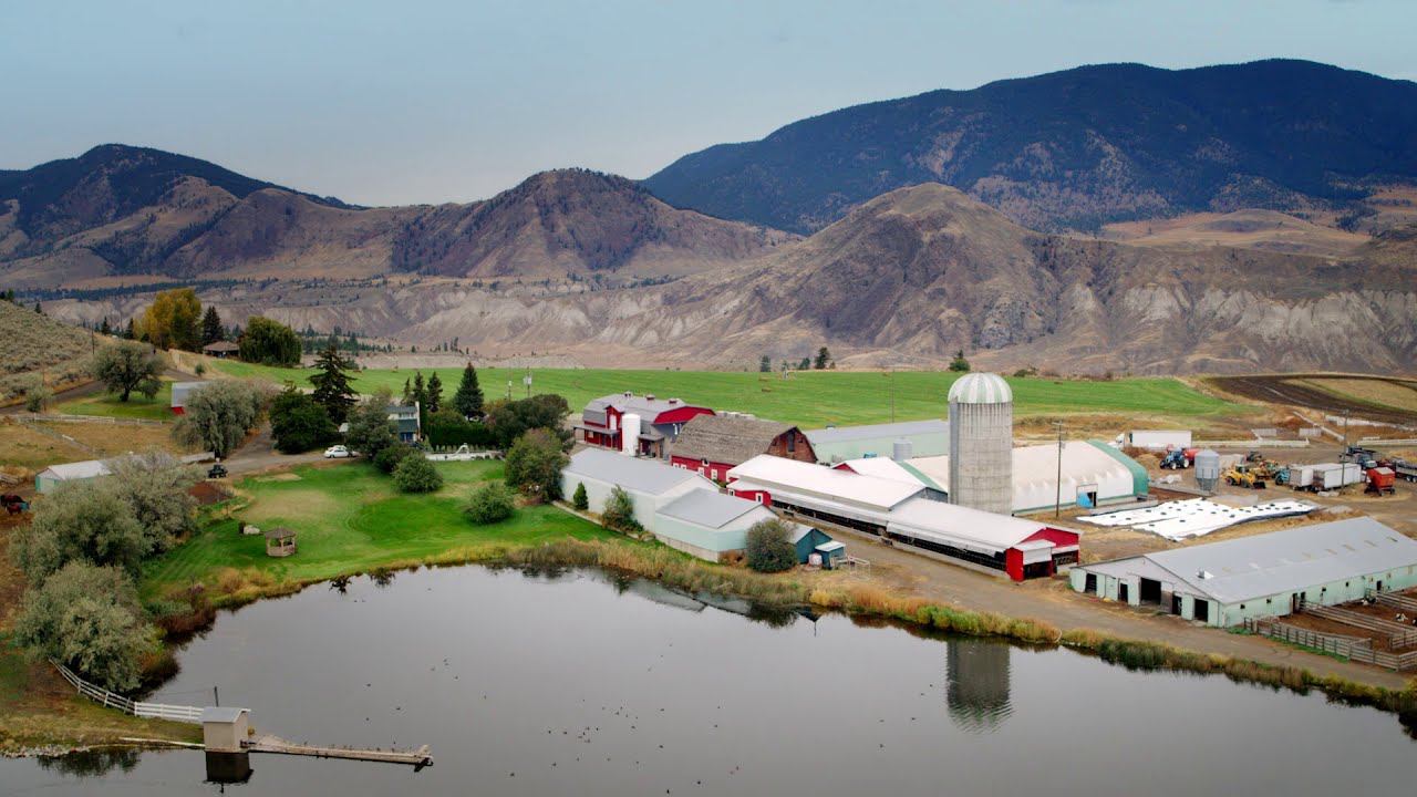 Buy BC Dairy YouTube