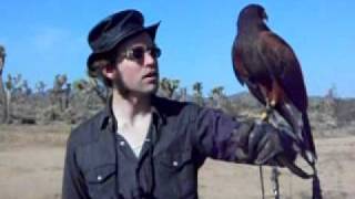 Learning about Falconry - Elite Land Tours, Palm Springs, California