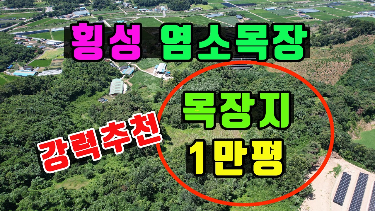 (급매가격) 횡성에 염소목장 으로 강력추천하는 목장용 토지매매