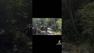 沖ノ島いってみたよ！#竜兵会 #リアクション #リアクション動画 #野田市の上島竜兵 #野田市非公認 #千葉県 #館山 #沖ノ島#館山市