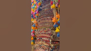 Inside The Most Beautiful Carpet Market In The World