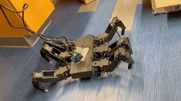 Walking Hexapod Robot (First-Year University Research Project)