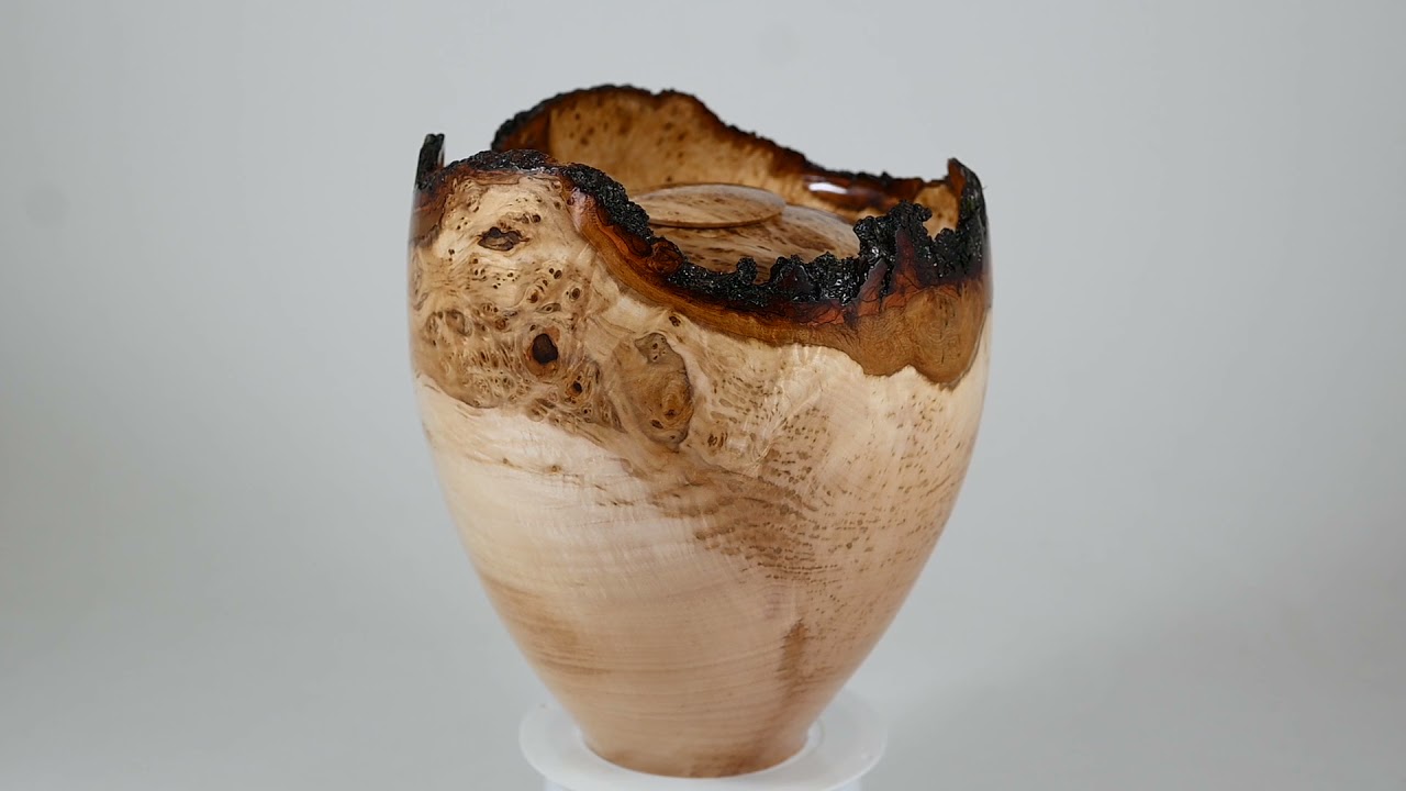 Large handmade wooden urn of Lime Burl