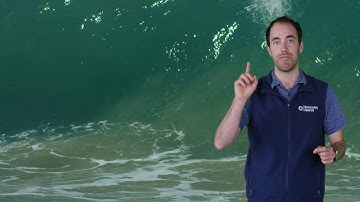 Fast Ocean Facts — Marine Bacteria