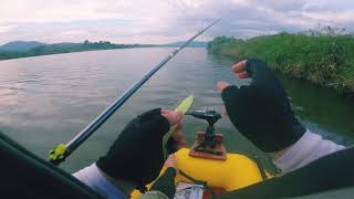 Drt vts 5 fish