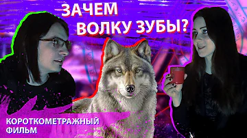 Зачем волку зубы? (Короткометражный фильм)