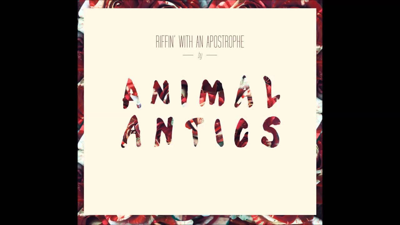 Tonton Animal Antics - My Reflection di YouTube Tonton Animal Antics - My Reflection di YouTube