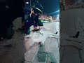 قادمون فمغادرون من هده الدنيا راحلون فأترك الأثر اكسبلور Cat قطط قادمون فمغادرون من هده الدنيا راحلون فأترك الأثر اكسبلور Cat قطط