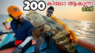 ചൂണ്ടയിൽ പിടിച്ചത് 200 കിലോ ആകുന്ന മീൻ | Giant grouper catch and cook Kerala style