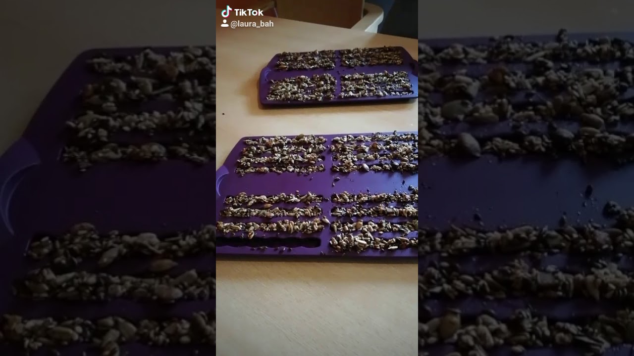 Tupperware Müslistangen in der Silikonform Stäbchen