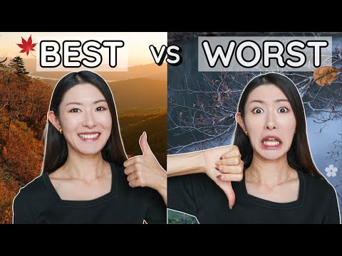 The Best (and Worst) Autumn Spots in Tohoku Ranked 🍁 Japan's Hidden Gems @yamatrips @im.mattguy