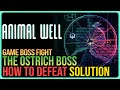How to defeat ostrich boss  animal well