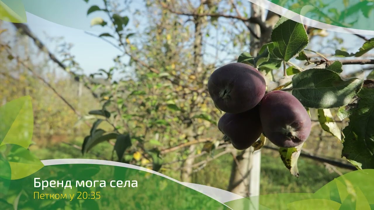 Brend moga sela ep. 258 22.11.2024. NAJAVA