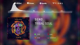 Tribal Soul