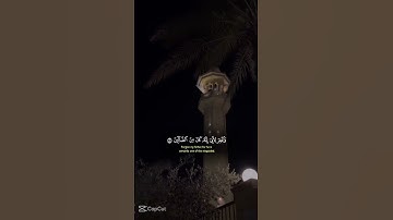 احترام القران الكريم❤️❤️