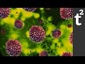 Can Bacteria Get a Virus? RIF 48