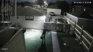Microwave YEET! Security Cam Footage! Bunny Escapes Death!