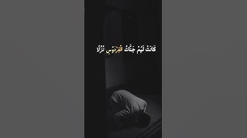 ﴿قل لو كان البحر مدادا لكلمات ربي﴾ 🎧😮‍💨🫀 / أحمد النفيس / من سورة الكهف ❤‍🩹 #قران_كريم #اكسبلور