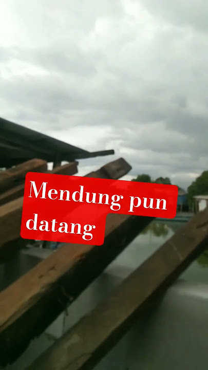 panggung bukan untuk para biduan #feedshorts#viral#rumah_panggung#pendekar_kricik#whaswhuswhos😍
