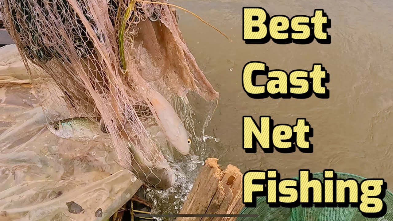 EP73 | Cast net fishing, best cast net fishing ever he always get lots ...