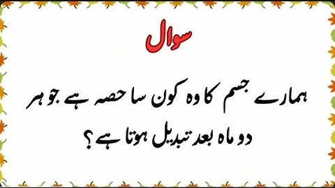 Amazing riddles with answers| GK questions very interesting video 😲🤍