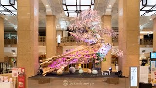 いけばな小原流　花のインスタレーション日本橋髙島屋2017
