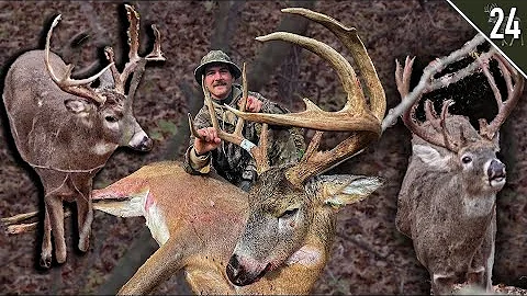 Ted’s Public Land Giant!! (BUCKS EVERYWHERE )