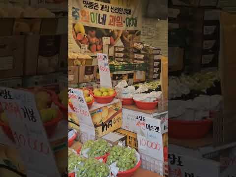 일산 <strong>주엽역</strong> 도시활기. 다양성